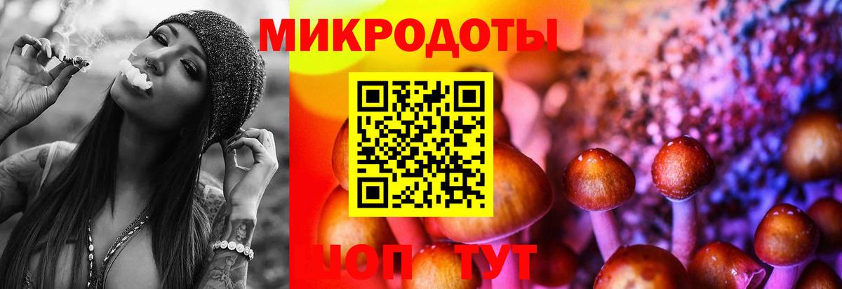 Галлюциногенные грибы мицелий Нижний Новгород