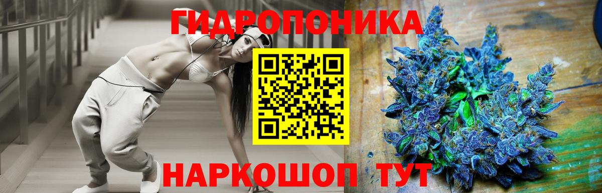 Нижний Новгород  Шишки марихуана гибрид  Конопля AK-47  Вход с VPN 